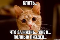 блять... что за жизнь... уже и... полный пиздец...