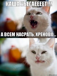 Каша убегаеееет!!! А всем насрать, хреново...