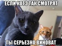 если котэ так смотрят ты серьезно виноват