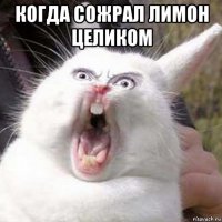 когда сожрал лимон целиком 