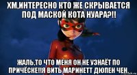 хм,интересно кто же скрывается под маской кота нуара?!! жаль,то что меня он не узнаёт по причёске!!я вить маринетт дюпен чен.