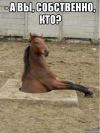 - а вы, собственно, кто? 