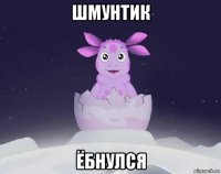 шмунтик ёбнулся