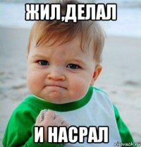 жил,делал и насрал