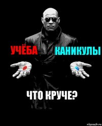 Учёба Каникулы Что круче?