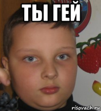 ты гей 