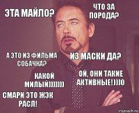 ЭТА МАЙЛО? Что за порода? А это из фильма собачка? СМАРИ ЭТО ЖЭК РАСЛ! ой, они такие активные!)))0 Из МАСКИ ДА? Какой милый)))))))   