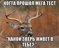 когта прошол мега тест "какой зверь живет в тебе? "