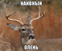 наивный олень