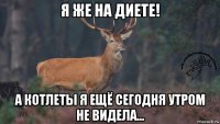 я же на диете! а котлеты я ещё сегодня утром не видела...