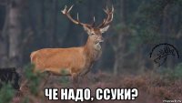  че надо, ссуки?