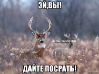 эй,вы! дайте посрать!