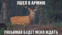 ушел в армию любимая будет меня ждать