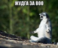 жудга за 800 