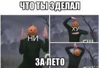 что ты зделал за лето