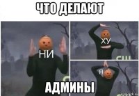 что делают админы