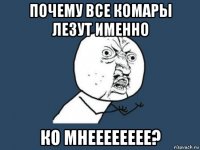 почему все комары лезут именно ко мнееееееее?