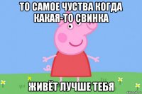 то самое чуства когда какая-то свинка живёт лучше тебя