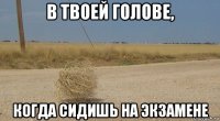 в твоей голове, когда сидишь на экзамене