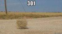 301 