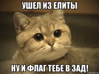 ушел из елиты ну и флаг тебе в зад!