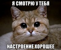 я смотрю у тебя настроение хорошее