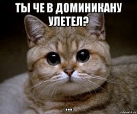 ты че в доминикану улетел? ...