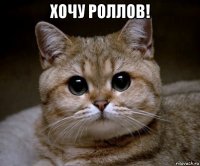 хочу роллов! 