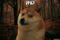 ура? 