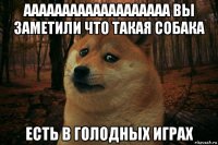 ааааааааааааааааааа вы заметили что такая собака есть в голодных играх