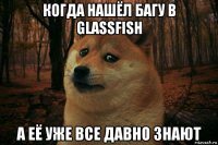 когда нашёл багу в glassfish а её уже все давно знают