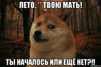 лето, ** твою мать! ты началось или ещё нет?!!