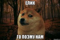 елик го поэму нам