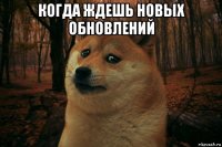 когда ждешь новых обновлений 