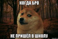 когда бро не пришёл в школу