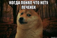 когда понял что нету печенек 