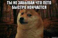 ты не забывай что лето быстро кончается 