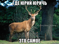 где юрий юричь это самое