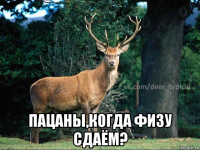  пацаны,когда физу сдаём?