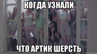 когда узнали что артик шерсть
