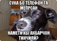 сука бо телефон та мепрсан намети хы акбарчон тинчияй?