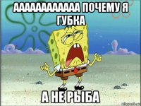 аааааааааааа почему я губка а не рыба