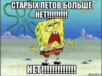 старых петов больше нет!!!!!!!!! нет!!!!!!!!!!!!!