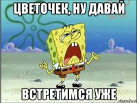 цветочек, ну давай встретимся уже