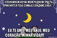 спокойной ночи, мой родной! пусть приснятся тебе самые сладкие сны!*** eu te amo, meu anjo, meu coração, minha vida!!!*******