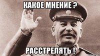 какое мнение ? расстрелять !