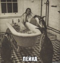  лейка