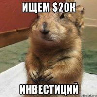 ищем $20к инвестиций