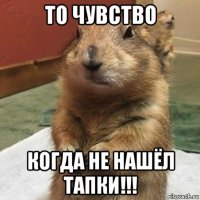 то чувство когда не нашёл тапки!!!