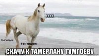  скачу к тамерлану тумгоеву